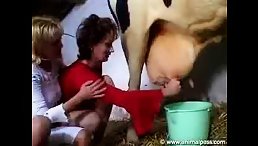 Wild MILF Women Take Group Sex to New Levels with Horse and Cow