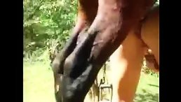Shocking Video: Horny Short Hair Ass Fucking Horse for Free