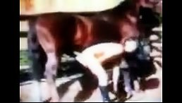 Young Black Girl Enjoys a Deliciously Dirty Horse Sex Cum Suck