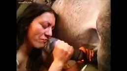 Girl Shocks World With Unbelievable Horse Throat-Fucking and Cum-Drinking Act