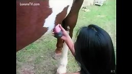Latina Babe Experiences Unbelievable Pleasure: Orgasming While Sucking and Fucking a Horse - Horse Porn