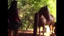 Stunning Latina Girl Gives Horse Big Dick a Wild Ride