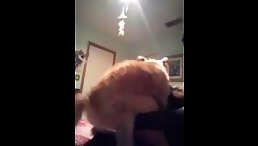Watch in Awe as Cam Fucks a Dog - A Shocking Spectacle That Will Leave You Stunned