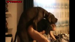Man Shares an Unexpected Bond with His Dog After Taking a Leap of Faith