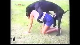 Staggering Sight: Amazing Babe Caught Fucking Dog in Public