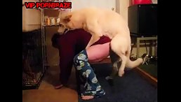 Outrageous Dog Sexually Assaults Young Girl in Sickening Attack