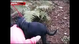 Girl Gets Wild With Hot Dog in Outdoors Adventure