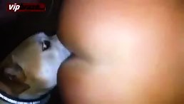 The Cutest Licking Companion: Little Dog's Best Pussy Licking