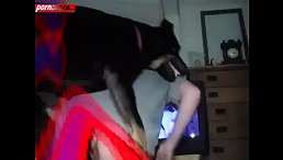 Schoolgirl Takes X-Rated Show to the Extreme - Watch Her Fucking a Dog