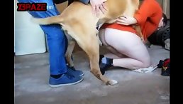 Outrageous: Naughty Girl Violently Raped by Bad Dog