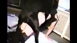 Big, Black and Hot: Hardcore Dog Fucking Unleashed