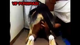 Outrageous: School Girl Victim of Dog's Unspeakable Act
