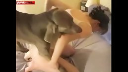 OMG Hot Ass, Good Dog Lick Ass, and Fucking Pussy - You Won't Believe What Happens Next