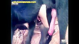 Startling Sight: Huge Cock Dog Found Deep Inside Human Mouth