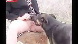 Arousing, Bold, and Unconventional: Experience Public Sex Dog with a Mature White Twist