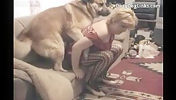 Mature breeder has sex with dogs to make them look better dog sex free sex animal porn clip