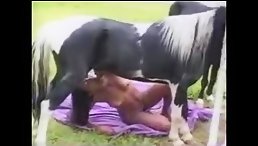 Experience the Wild Ride: Ebony Bitch Slut Fucks and Eats Horse Cum