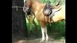 The Ultimate Throat-Stretching Experience: Sucking a Huge Horse's Dick Hard