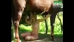 Blonde Girl's Jaw-Dropping Deepthroat of Horse's Massive Dick