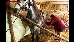 Outrageous Act: Man Caught Having Sex with Horse