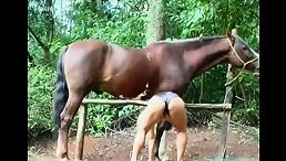 Unbelievable Watch the Wild and Explicit Mature Slut Sex With Horse in Public
