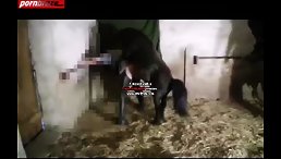 Gallop into Ecstasy with Horse Porn: F*ck Curly Girl