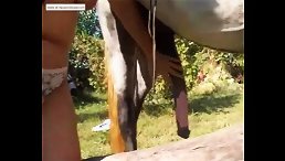 Mature Big Tits Take Ride of a Lifetime with Horse