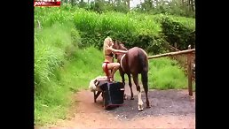 Wild Blonde Tames Horse in Explicit Horse Porn Scene