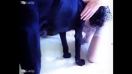 Witness the Pleasure of a Woman Who Orgasms When Her Pet Deeply Explores Her Pussy