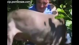 Woman Shocked by Wild Big Dog Orgy