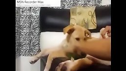 Amateur Girl Offers Free Dog Sex Cam Show - Don't Miss Out
