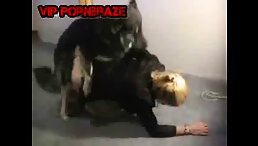 Blonde Ravaged by Dog in Horrifying Free Animal Porn