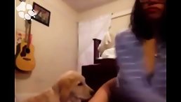 Golden Dog Brings Unforgettable Pleasure to Young Teen