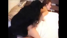 A Tail-Wagging Treat: A Dog Porn Compilation for Maximum Pleasure