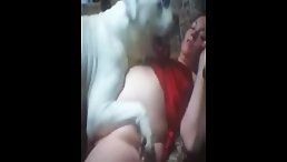 Good Dog Gives Woman Unforgettable Free Gift