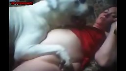 Girl's Pet Gives Her a Loving Lick: A Moment of Intimacy and Pleasure