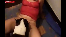 Good Dog Gets Creamed by Pussy-Loving Woman: An Incredible Story of Love and Devotion