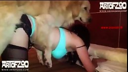 Outrageous POV Fucking Dog Sex - The Ultimate Hardcore Experience