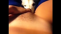 Woman's Best Friend: Dog Licking Pussy Gives Unforgettable Sensation