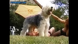 Saucy Redhead Takes a Wild Ride with Shaggy Dog Lucky in Animal Porn Free