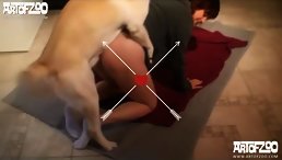 Shock and Awe: Human Fucking Dog - A Scandalous Act Caught on Tape