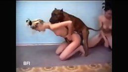 Women in Wild and Horny Dog Orgy: Unbelievable Animals Porn