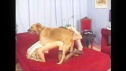 Incredible Threeway Fucking Captured in Dog Sex Videos